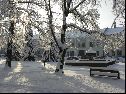 2010, zima na Husově náměstí, foto Jan Prchal
