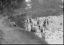 po r. 1960, Koupání U Višniček