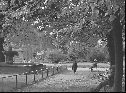 po r. 1965, kráčející učeň - hodinář Jiří Krytinář