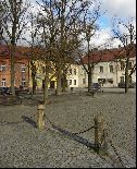 horní část tzv. Královského stromořadí, foto Jan Prchal