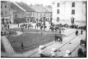 1943, odvody koní