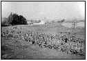 1945, váleční zajatci