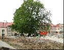 2010, rekonstrukce židovského města, foto Oldřich Klement