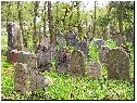 2008, na židovském hřbitově, foto Jan Prchal
