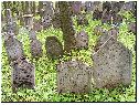 2008, pomníky na židovském hřbitově, foto Jan Prchal